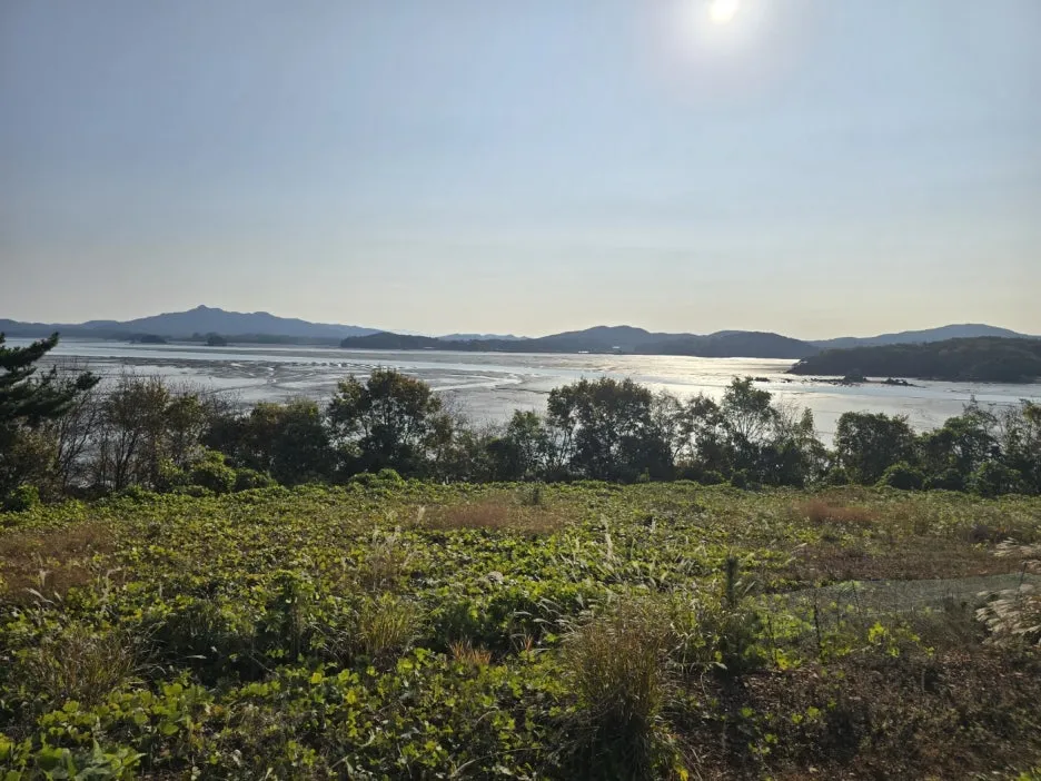 KakaoTalk_20241113_031257885_03.jpg?type=w1