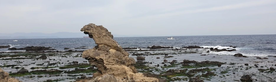 SE-32b6b743-af51-4d44-a360-61621618d381.jpg?type=w1