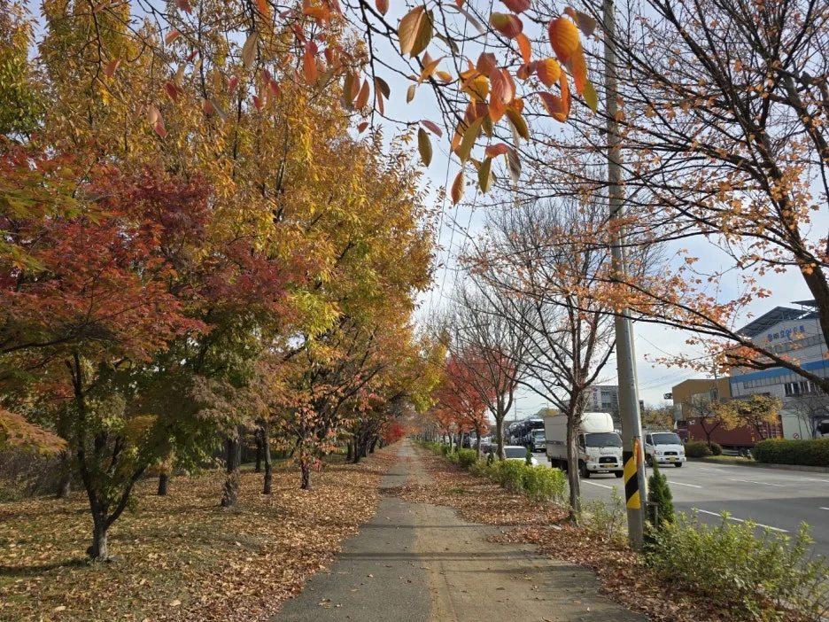 KakaoTalk_20241120_031352450_14.jpg?type=w1