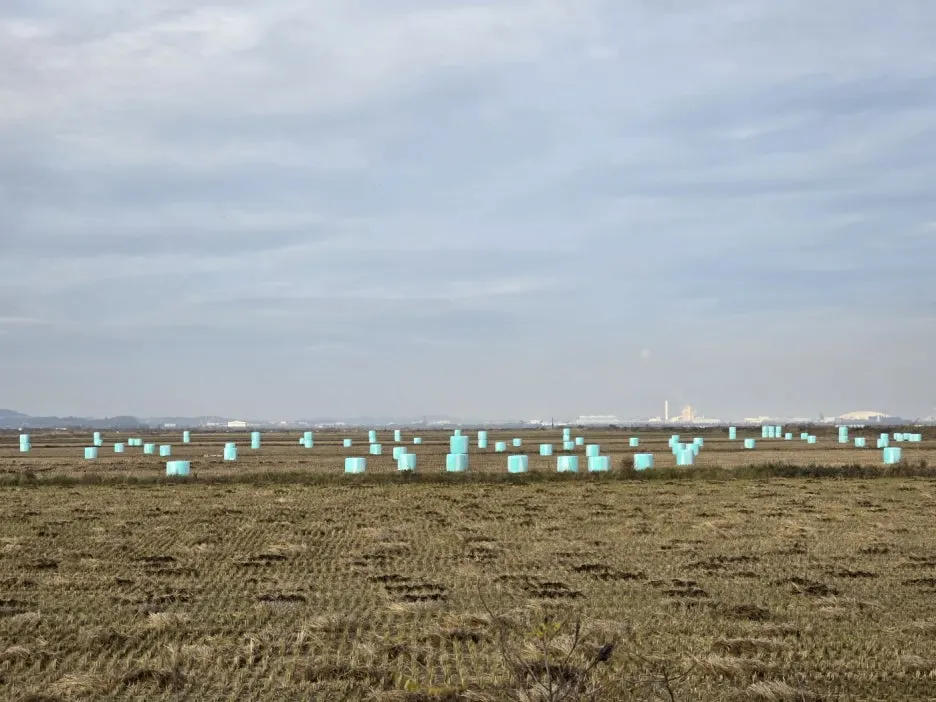 KakaoTalk_20241116_023630166_11.jpg?type=w1