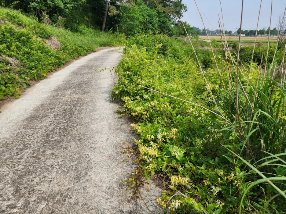 KakaoTalk_20240522_155924447.jpg?type=w1