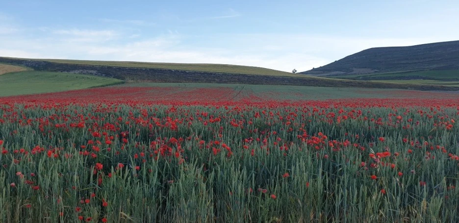 KakaoTalk_20220601_001657063_03.jpg?type=w1