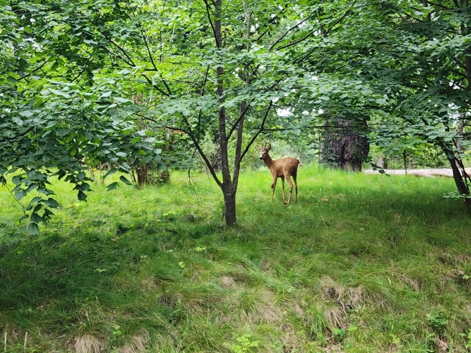 KakaoTalk_20230822_015045053_09.jpg?type=w1