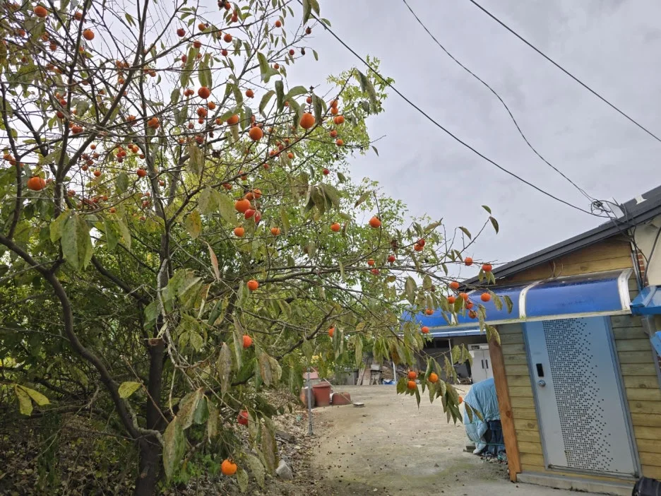 KakaoTalk_20241016_042214358_07.jpg?type=w1