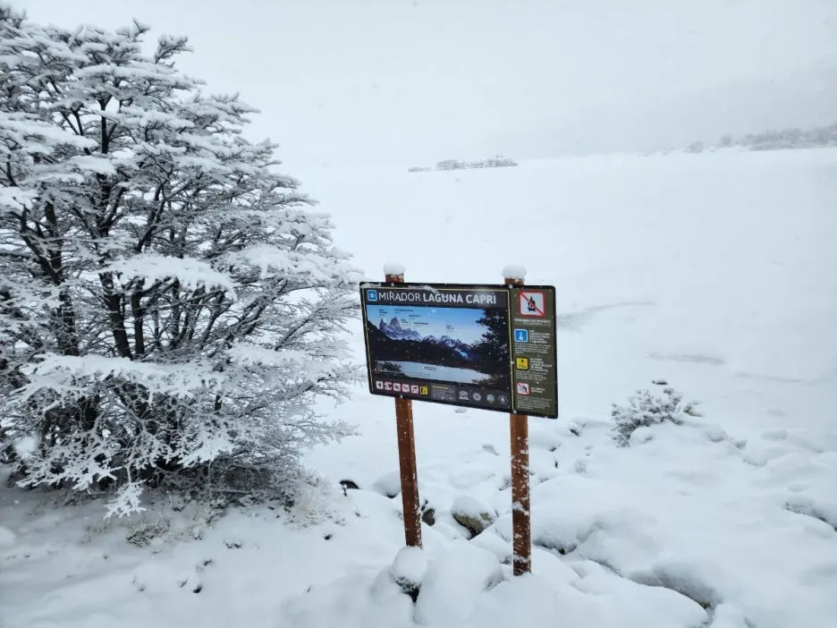 KakaoTalk_20240806_083145095_04.jpg?type=w1