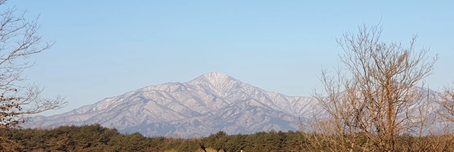 SE-67fb07b1-c634-4602-938d-2519b56ce047.jpg?type=w1