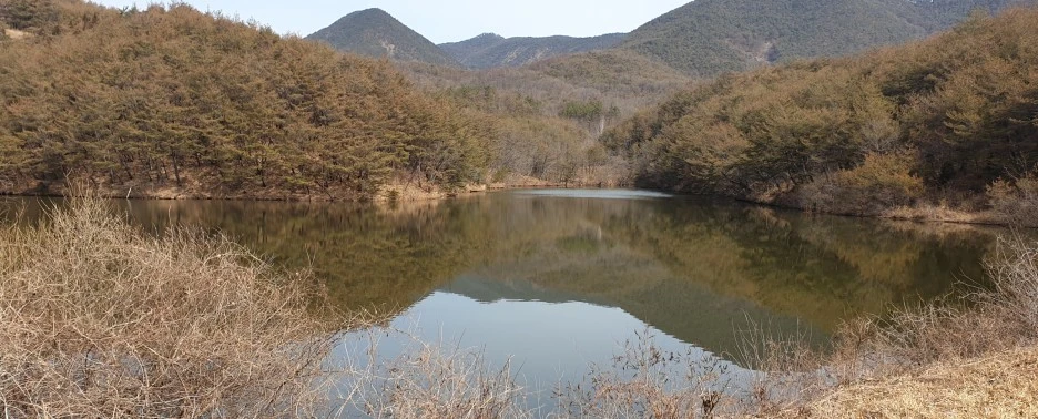 SE-7f2f6ac6-ae84-427f-9327-697c5eb829da.jpg?type=w1