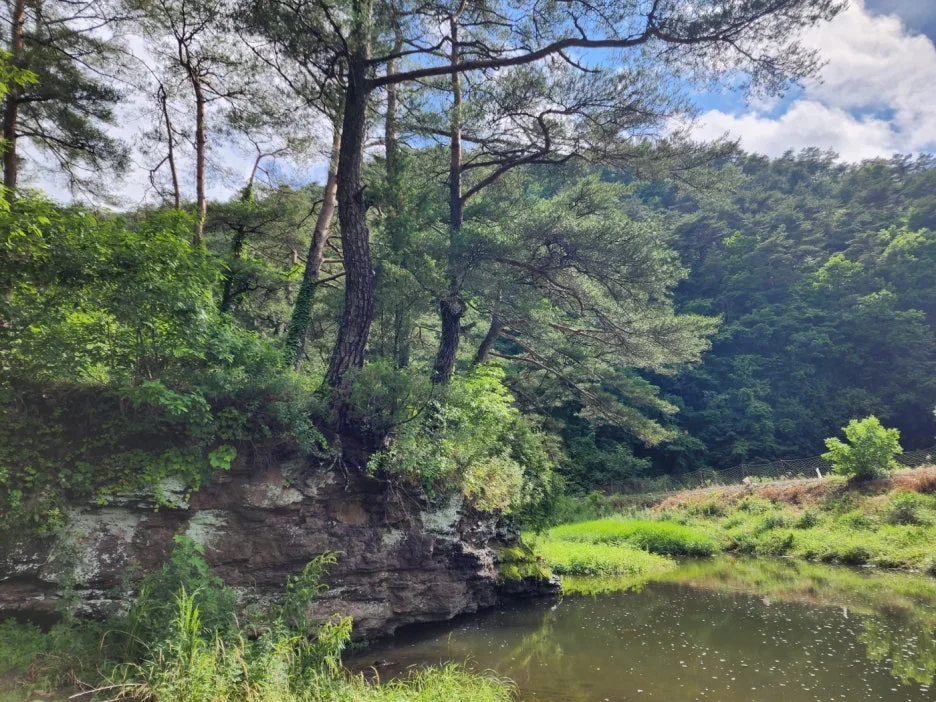 KakaoTalk_20240623_164104547_07.jpg?type=w1