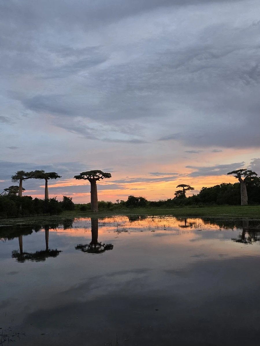 KakaoTalk_20250313_021335192_21.jpg?type=w1