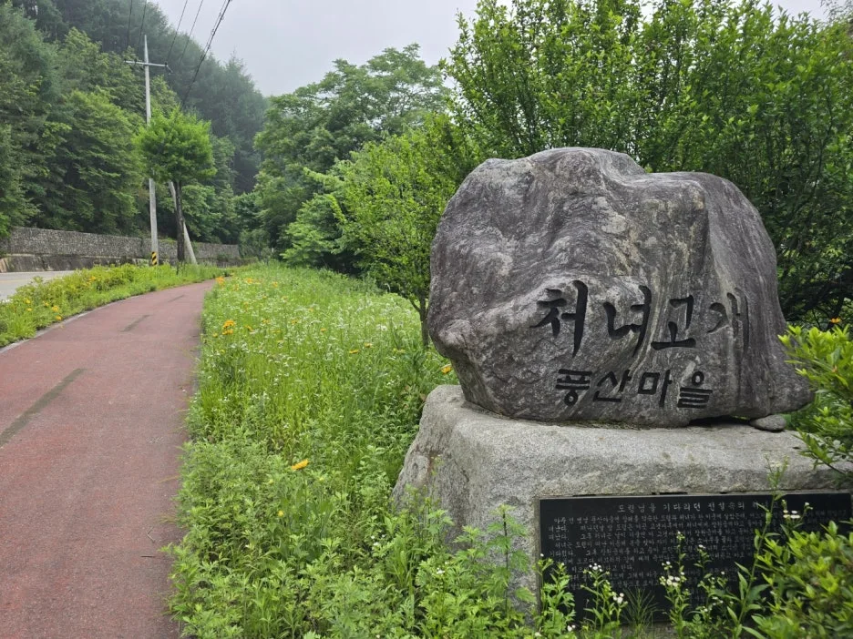 KakaoTalk_20250618_170048774_12.jpg?type=w1