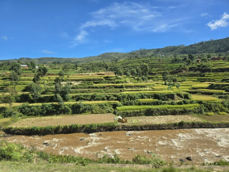 KakaoTalk_20250312_111643061_06.jpg?type=w1