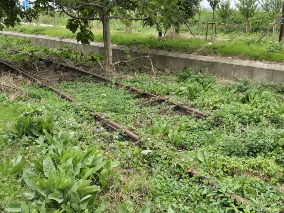 KakaoTalk_20241023_173909117.jpg?type=w1