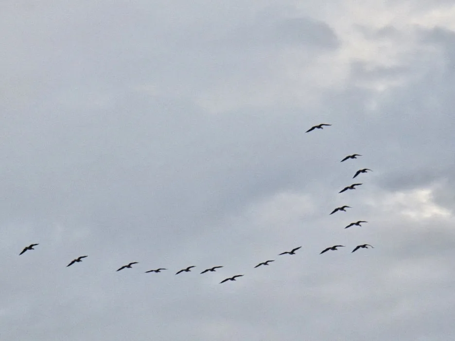 KakaoTalk_20241115_030027839_02.jpg?type=w1