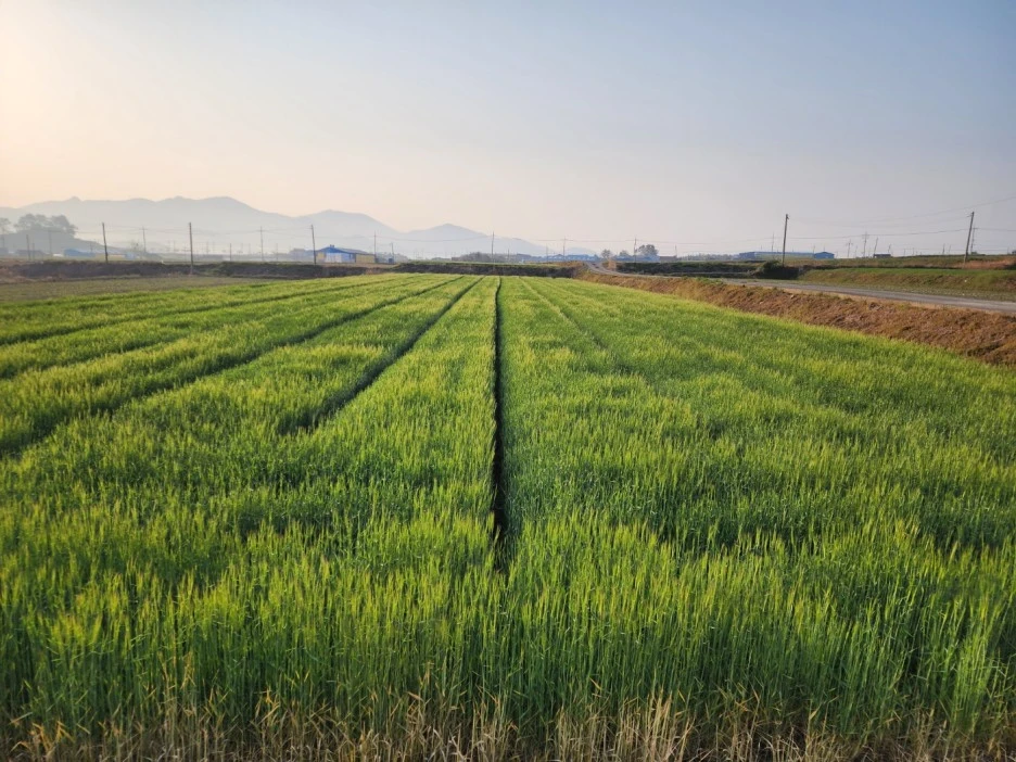 KakaoTalk_20230402_050707846_20.jpg?type=w1