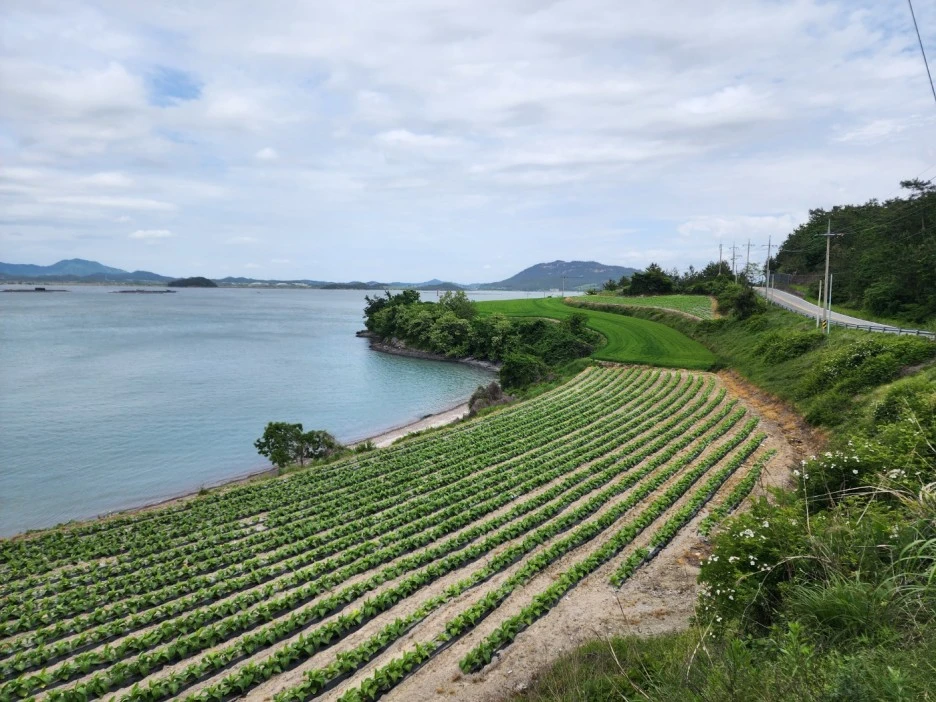 KakaoTalk_20240512_032903167_18.jpg?type=w1