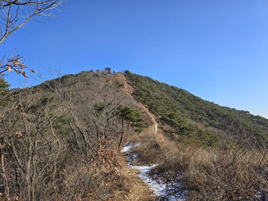 KakaoTalk_20241223_131706327_19.jpg?type=w1