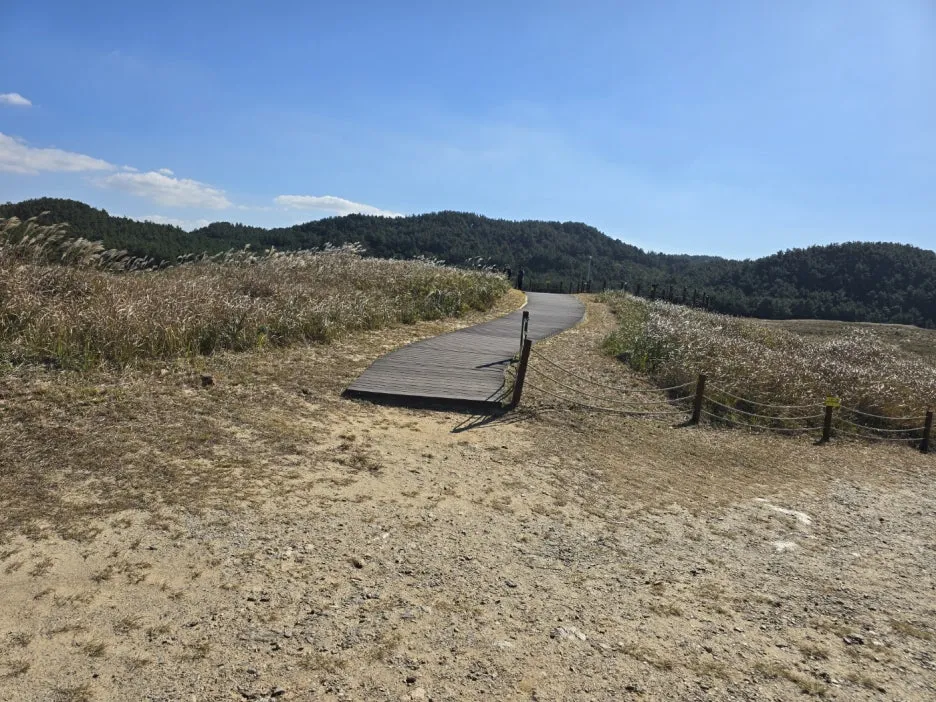 KakaoTalk_20241107_045832646_21.jpg?type=w1