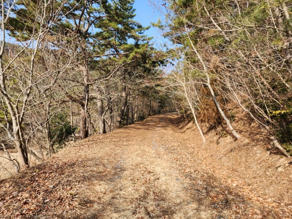 KakaoTalk_20230215_043158214_05.jpg?type=w1