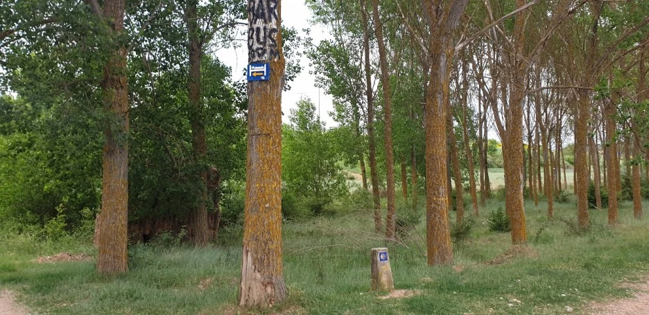 KakaoTalk_20220524_210002837_03.jpg?type=w1