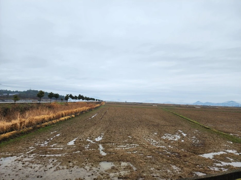 KakaoTalk_20230324_023416967_03.jpg?type=w1