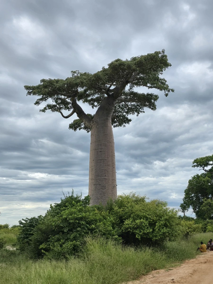 KakaoTalk_20250313_021335192_08.jpg?type=w1