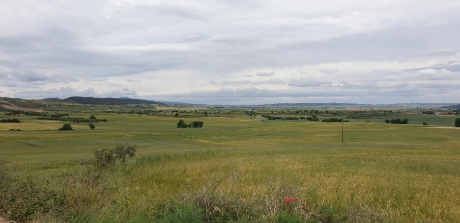 KakaoTalk_20220524_210325252_03.jpg?type=w1