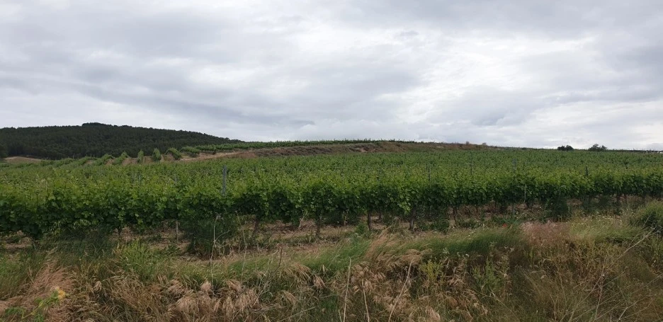 KakaoTalk_20220524_210224742.jpg?type=w1