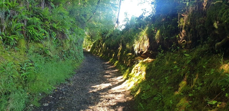 KakaoTalk_20220610_223526536_04.jpg?type=w1