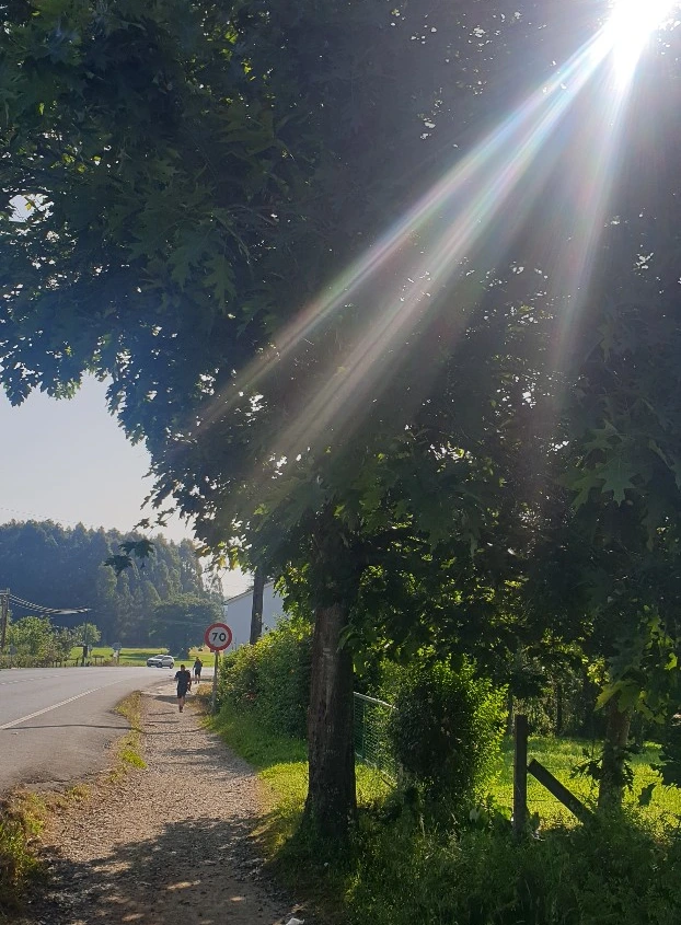 SE-23ce5784-0301-4446-b16a-df020fc3eba8.jpg?type=w1