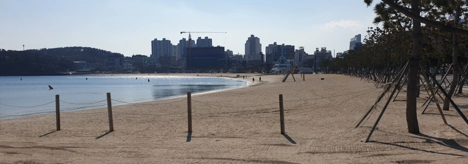 SE-d4626c42-3fca-4d01-97a2-bd70cdb1a412.jpg?type=w1