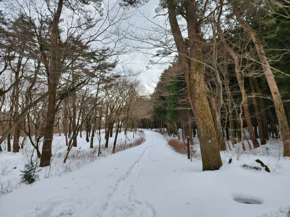 KakaoTalk_20230105_062519860_07.jpg?type=w1