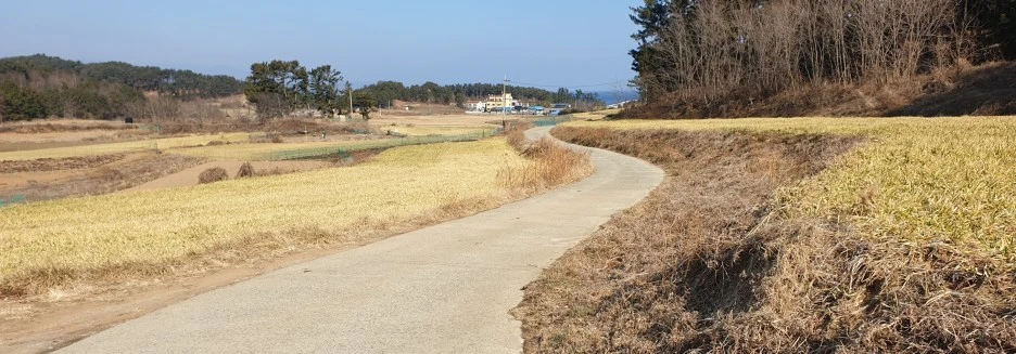 SE-221e7b16-401a-4892-87bd-3b64ec54a728.jpg?type=w1