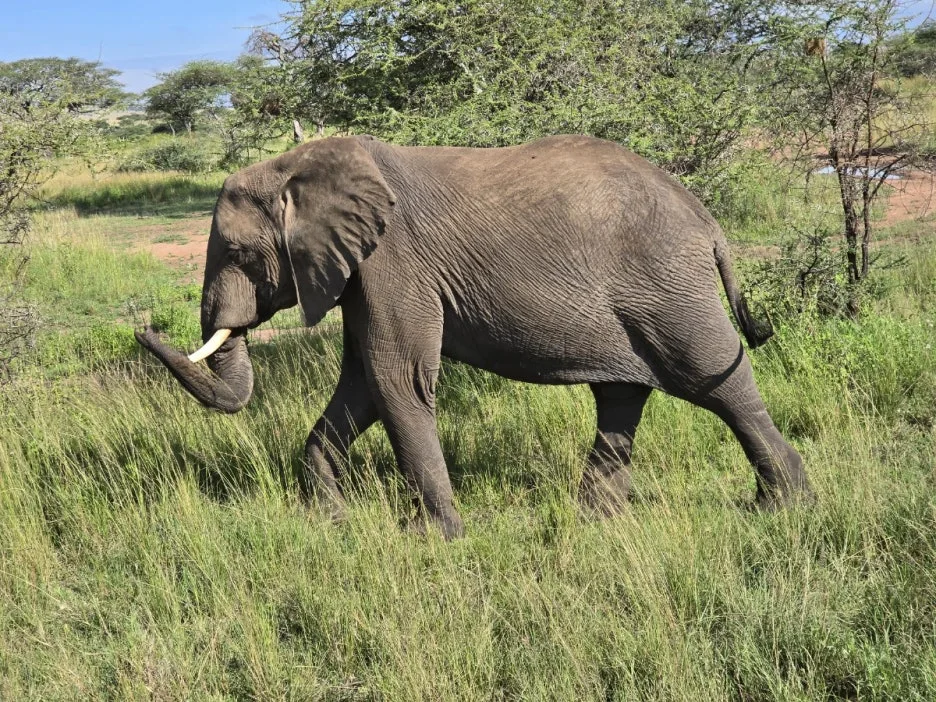 KakaoTalk_20250405_135250372_06.jpg?type=w1