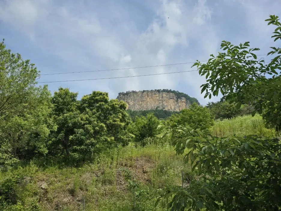 KakaoTalk_20250617_131521965_17.jpg?type=w1