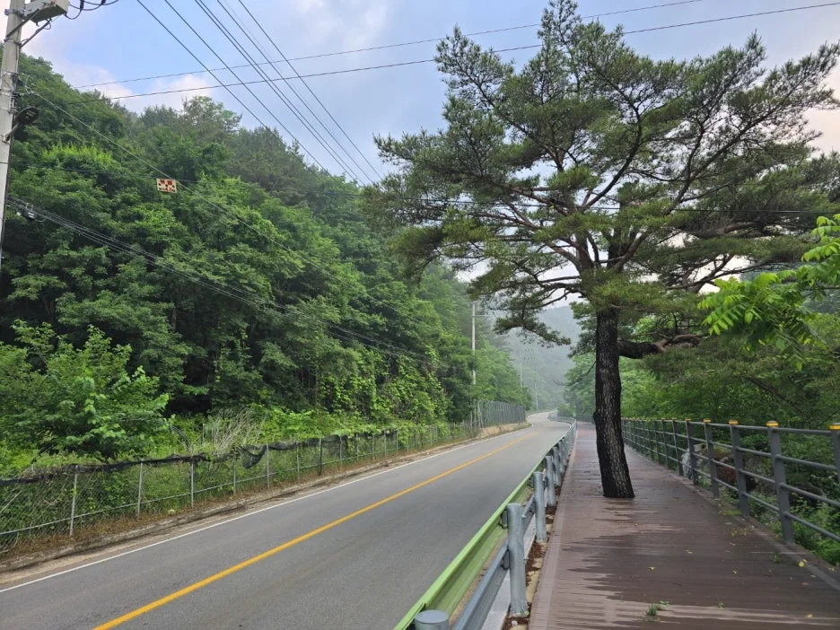 KakaoTalk_20250617_131521965_04.jpg?type=w1