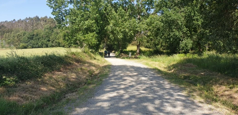 KakaoTalk_20220614_013644696_08.jpg?type=w1