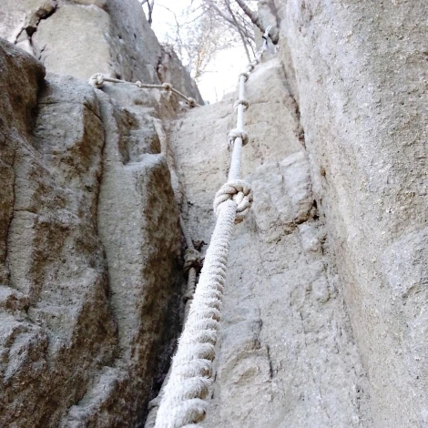 SE-8d26ff27-4fdf-4ecf-bd11-8d31fb2c751b.jpg?type=w1