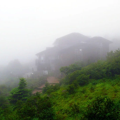 SE-f8f216e1-e36c-4a2c-9c80-5b50c257a7f2.jpg?type=w1