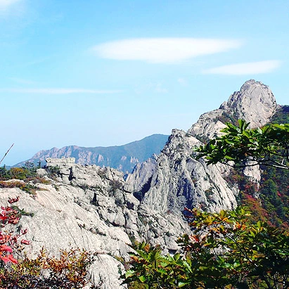 SE-341e5525-f453-4c4a-b4ce-9f8a17939d8b.jpg?type=w1