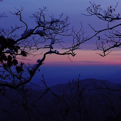 SE-7a075b13-b786-481c-8fe4-0f1aea2579a7.jpg?type=w1