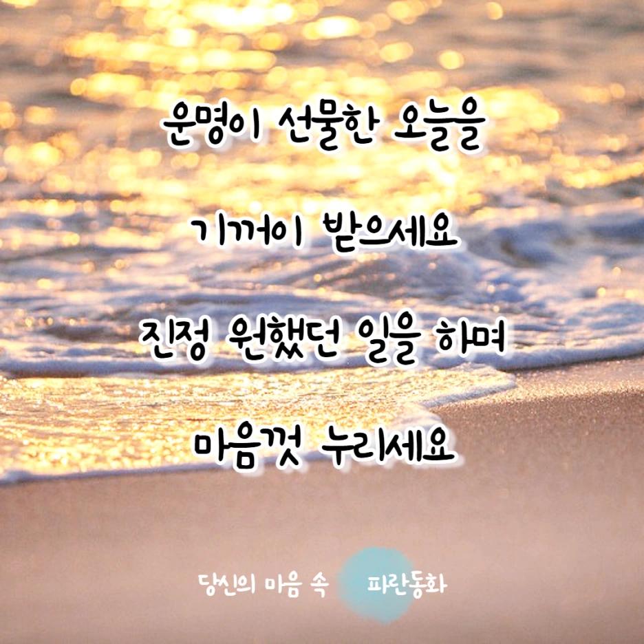 SE-725899cc-e044-4d1f-bb89-f73dc3b155a2.png?type=w1