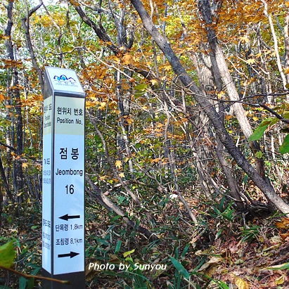 SE-63b76b8c-d338-4184-bbc6-ad7df74d9f14.jpg?type=w1