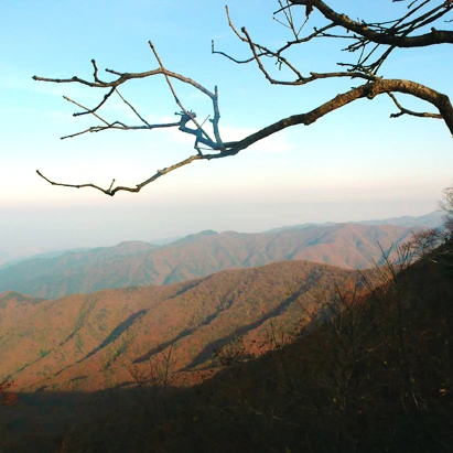 SE-85a2a1bf-e2bb-48df-9e0e-e73bd964e8da.jpg?type=w1