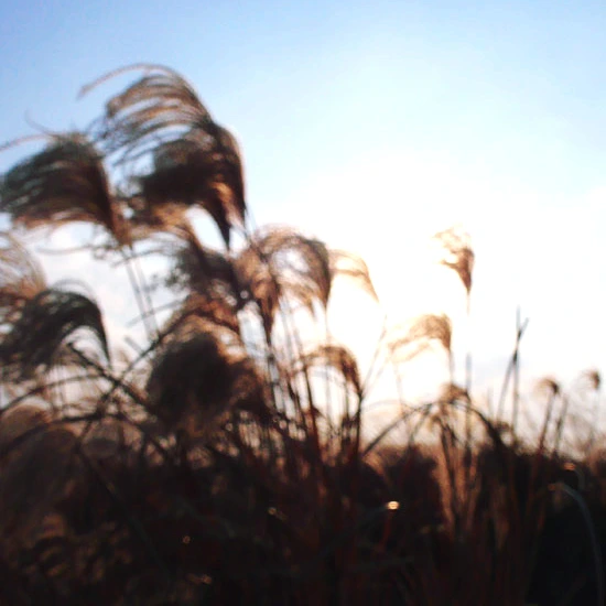 SE-b2c990b6-68cd-4f80-81ed-824f3bed0dc5.jpg?type=w1