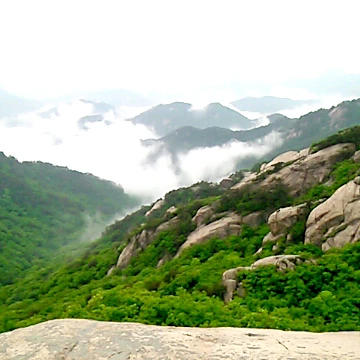 SE-3fce3782-bd20-4bdb-a3fe-3a5db0cfd126.png?type=w1