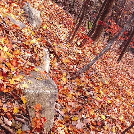 SE-a550ebb4-1832-4c22-9e6f-dfcc5aa0e5d4.jpg?type=w1