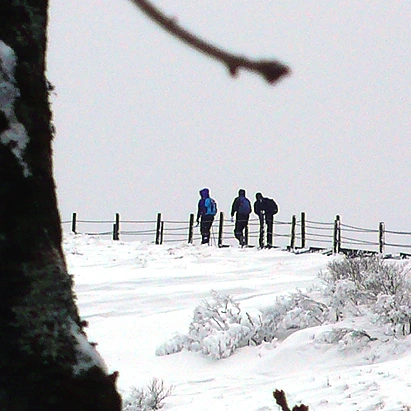 SE-29563f6d-29dd-4bca-9ee7-08603be2ae28.jpg?type=w1