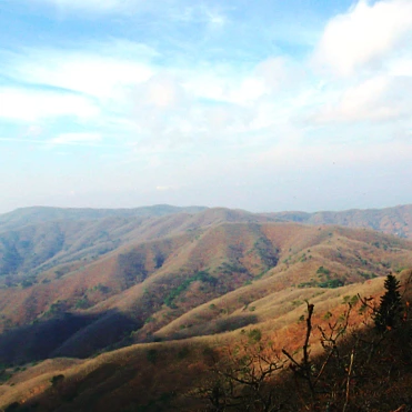 SE-a238a0b1-f28d-47b1-b78e-2e8ecd572ac6.jpg?type=w1