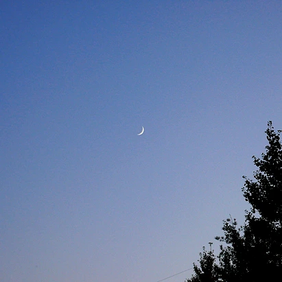 SE-ec3a7039-2172-43b8-806f-53620b27b483.jpg?type=w1