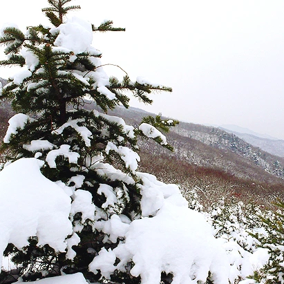 SE-f2d5da34-edc3-4050-8682-e7ea2873f715.jpg?type=w1